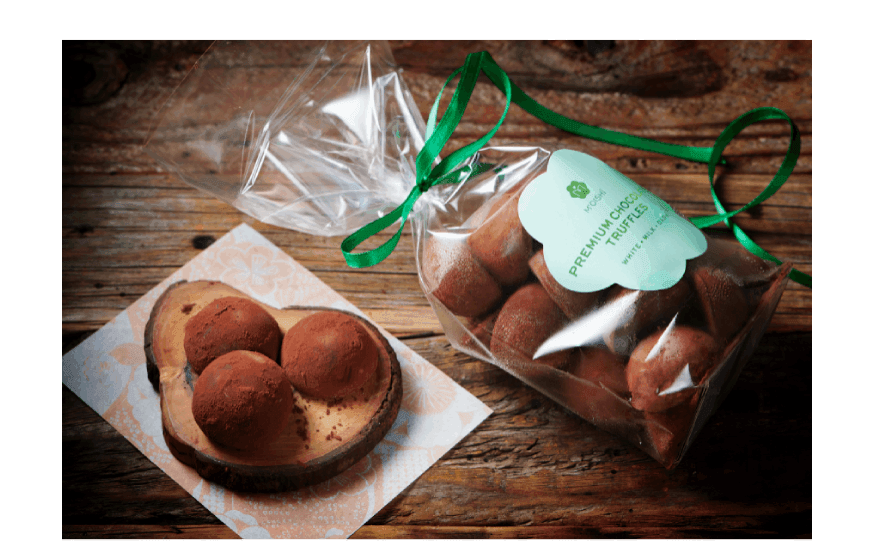 moishi' s creamy chocolate truffle the vegan mochi ice cream gift box